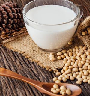 怎么样用乳化机加工出优质的豆奶